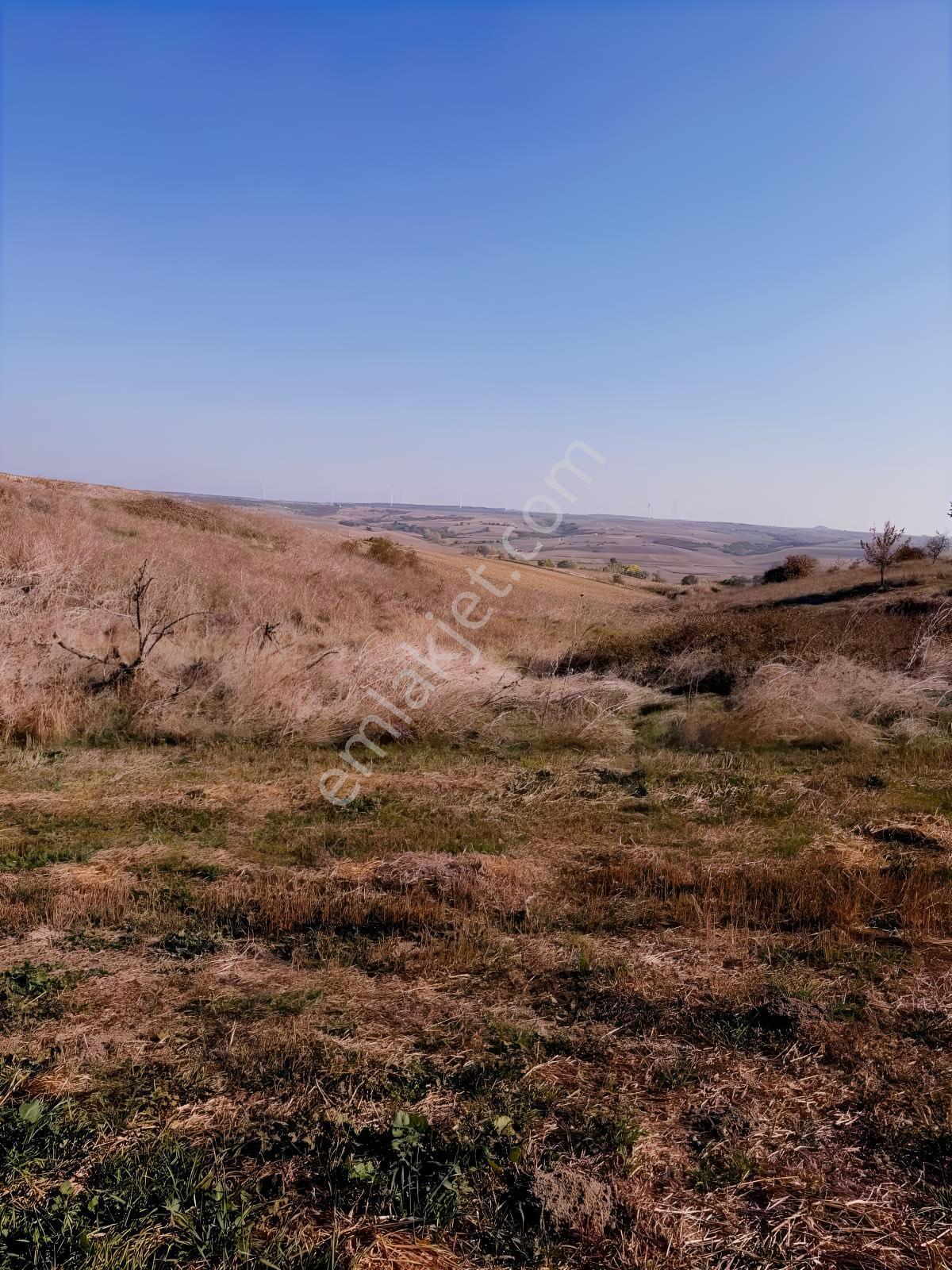 Silivri Değirmenköyde 2.482 M² Müstakil Tapulu Satılık Tarla - Görsel 4