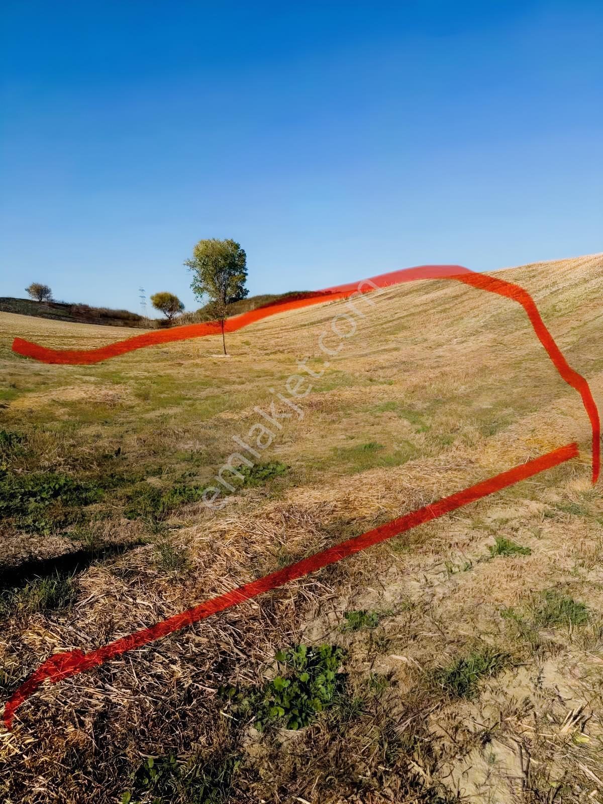 Silivri Değirmenköyde 2.482 M² Müstakil Tapulu Satılık Tarla - Görsel 10