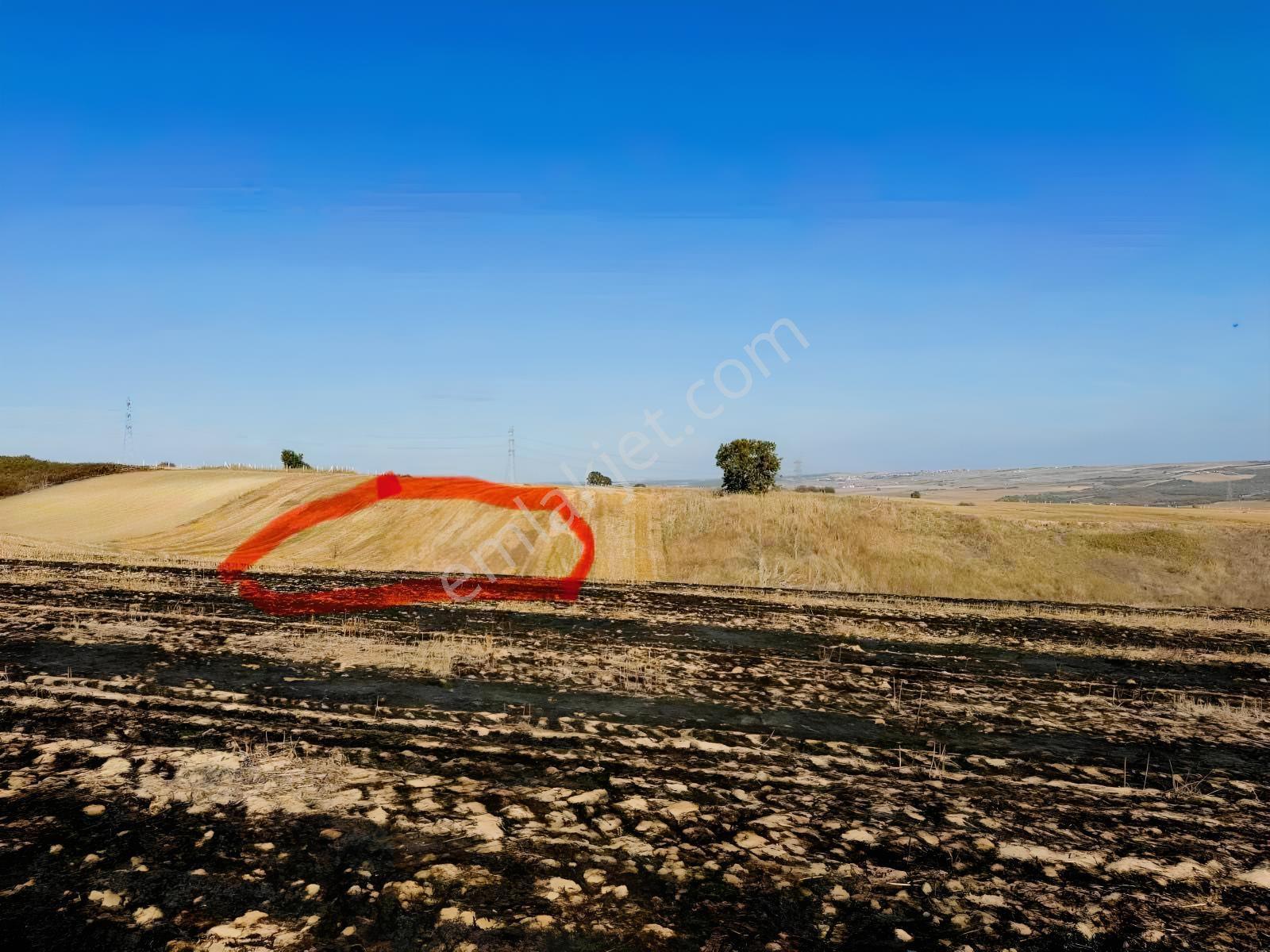 Silivri Değirmenköyde 2.482 M² Müstakil Tapulu Satılık Tarla - Görsel 19
