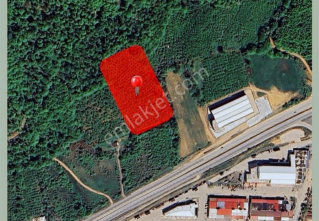 Kadastral Yolu Olan, Merkeze Yakın, Cazip Fiyata, Fırsat Tarla - Görsel 6