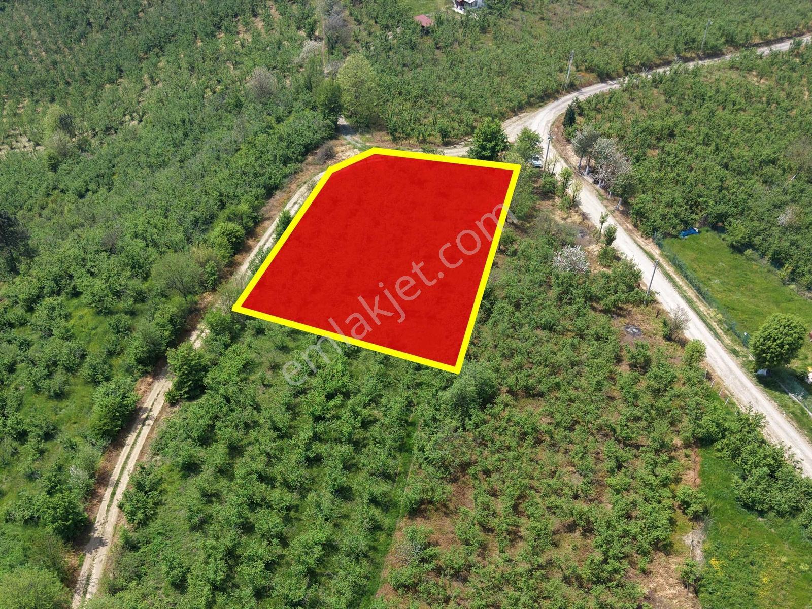 Emlakevim Den Hendek Gündoğan Mh Satılık 1000 M2 Arsa - Görsel 2