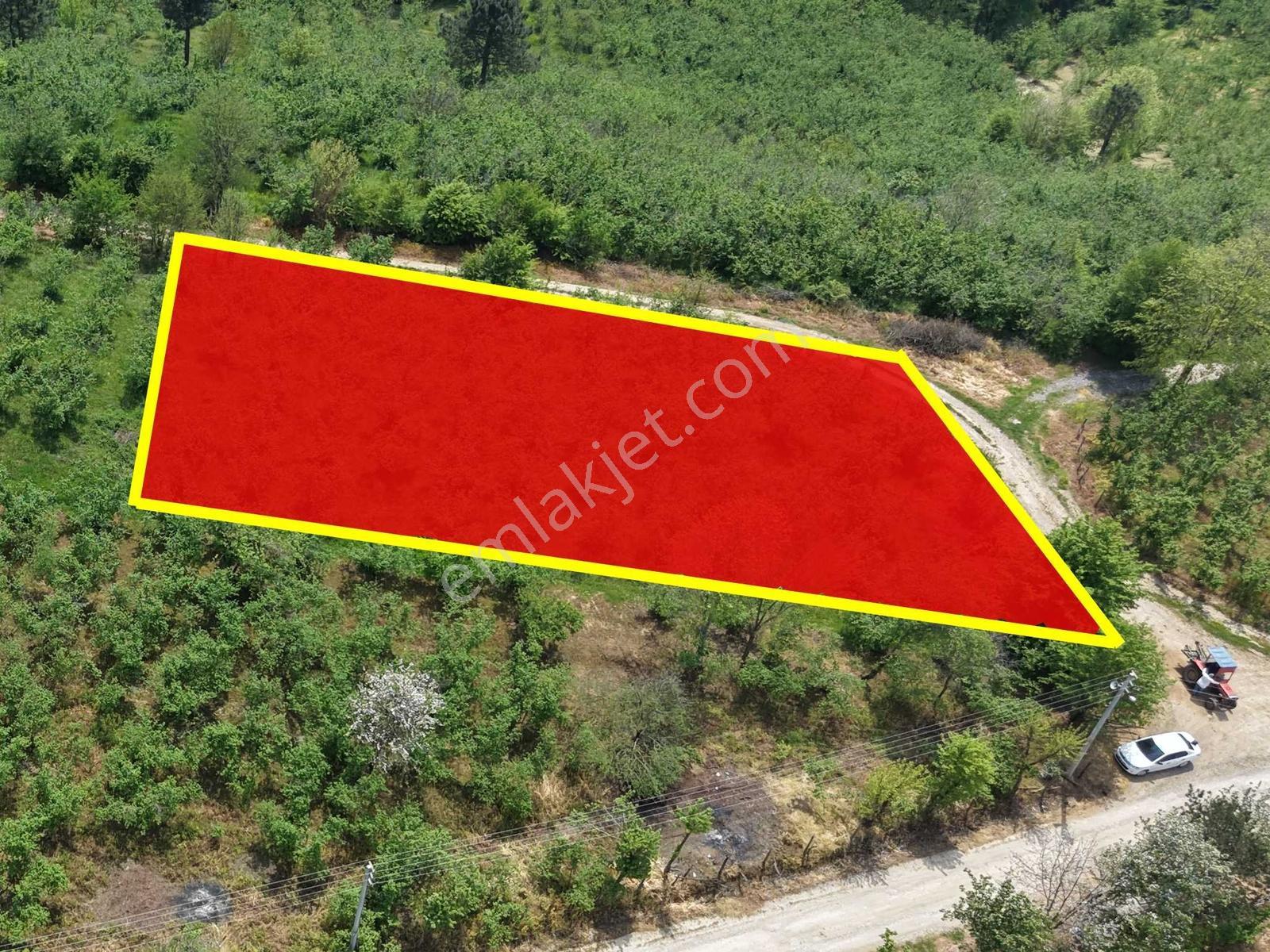 Emlakevim Den Hendek Gündoğan Mh Satılık 1000 M2 Arsa - Görsel 11
