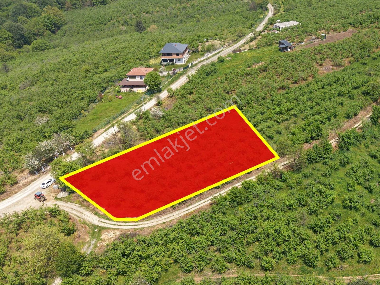 Emlakevim Den Hendek Gündoğan Mh Satılık 1000 M2 Arsa - Görsel 15