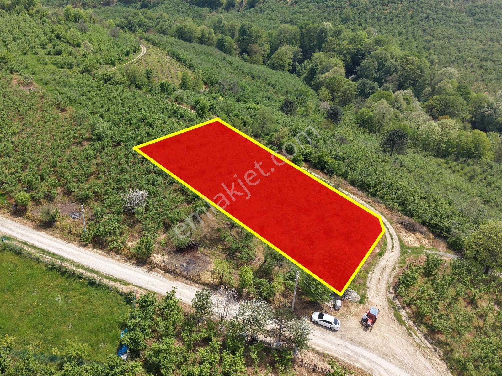 Emlakevim Den Hendek Gündoğan Mh Satılık 1000 M2 Arsa - Görsel 9