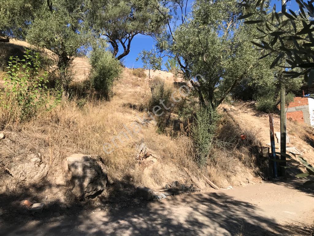 Nazilli Kardeşköy Mahallesi Merkezi Konumda 1970 M2 Bahçeli Müstakil Ev - Görsel 16