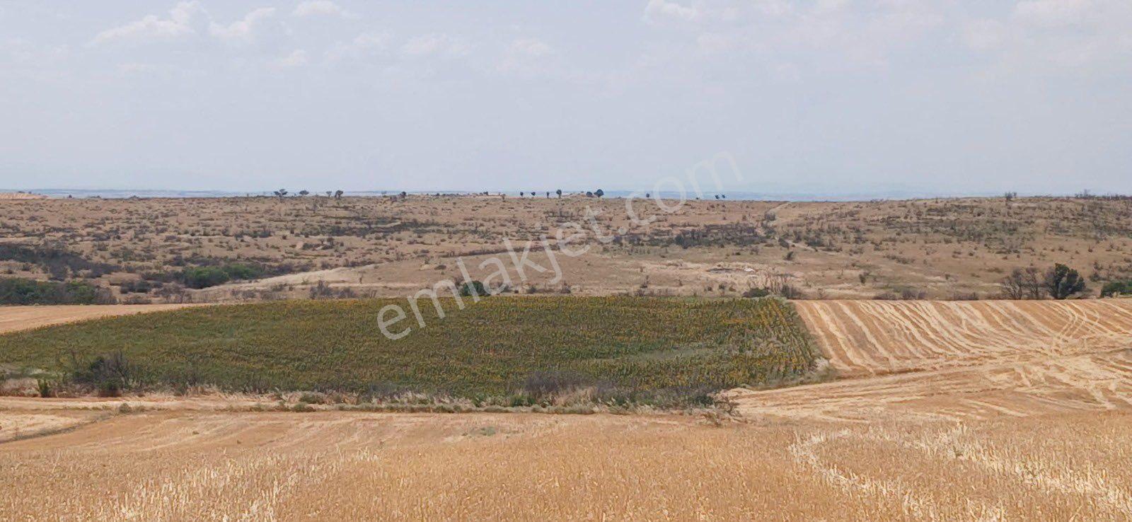 Edirne Orhaniye Mh. 8.530 M. Tarla Yatırıma Uygun Satılık - Görsel 7