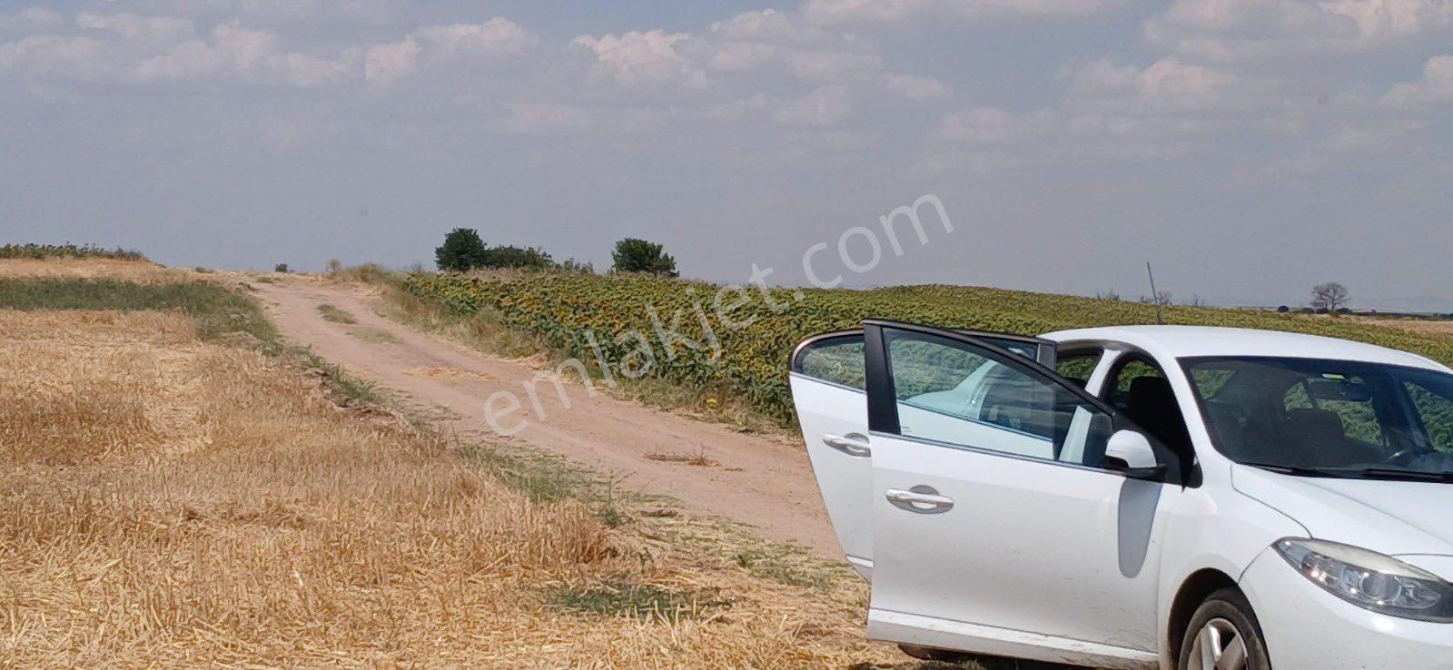 Edirne Orhaniye Mh. 8.530 M. Tarla Yatırıma Uygun Satılık - Görsel 15