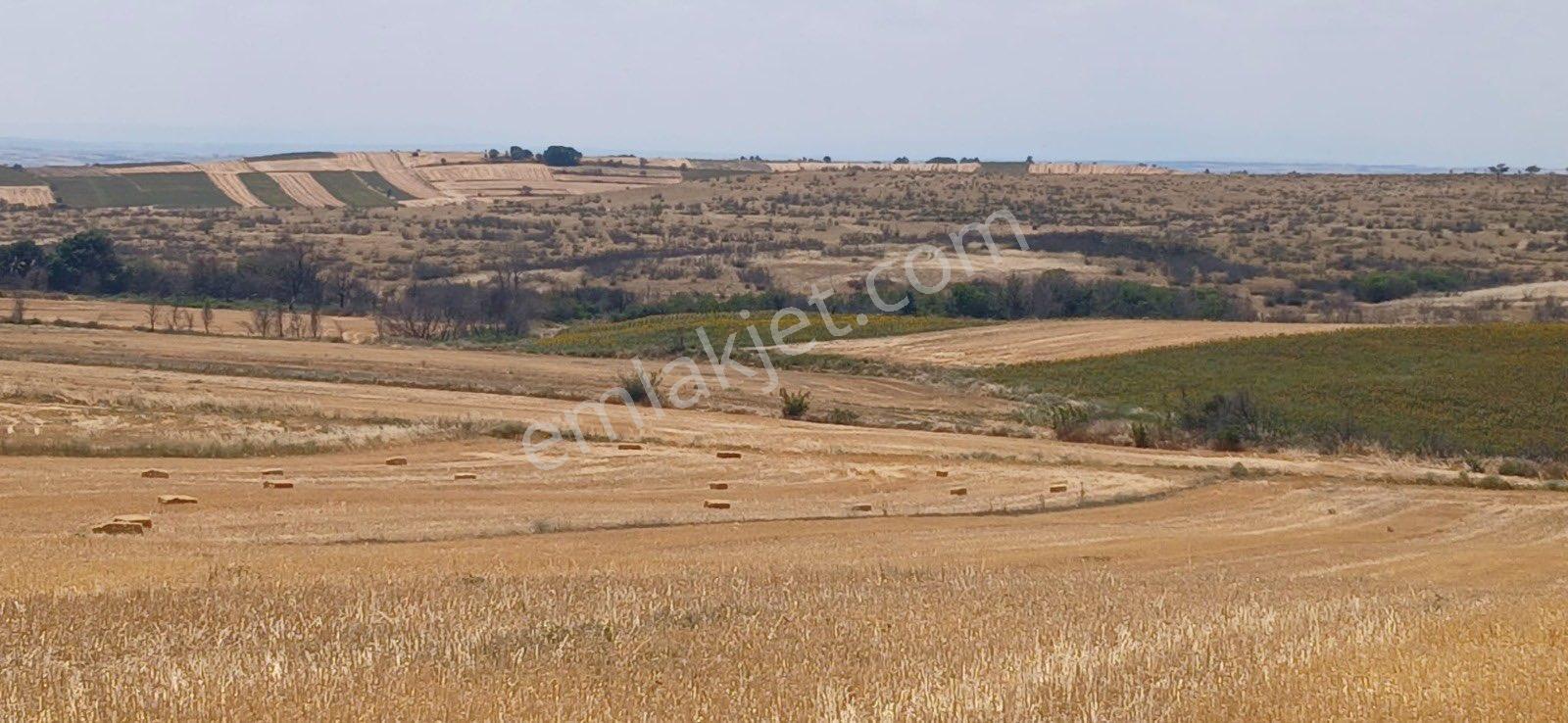 Edirne Orhaniye Mh. 8.530 M. Tarla Yatırıma Uygun Satılık - Görsel 2