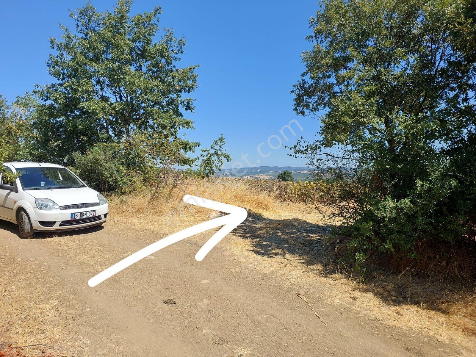 Dialog Leo Dan İnegöl Yeniyörük Mh. Satılık 1308 M² Tarla - Görsel 5