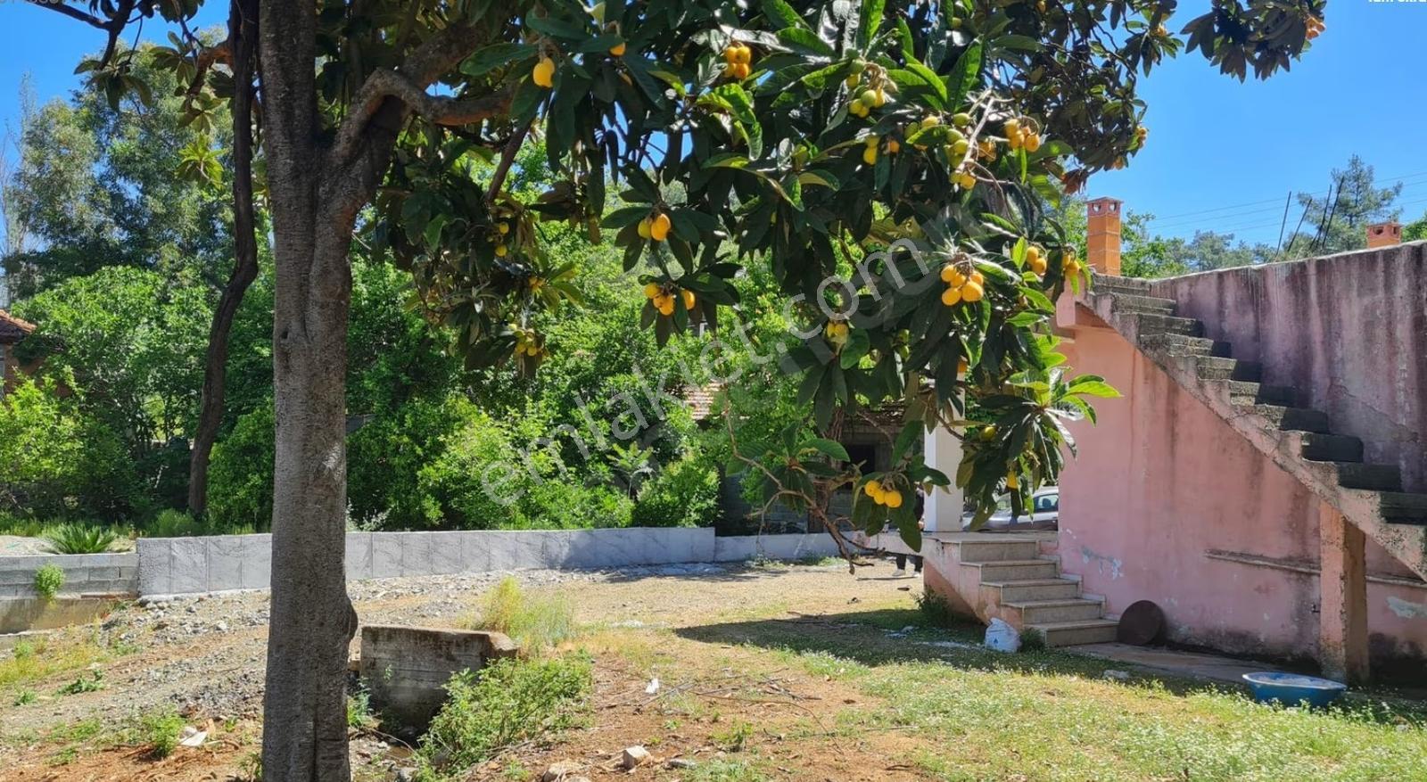 Muğla Köyceğiz Zeytinalanı Mahallesinde Kargir Ev Ve Avlusu - Görsel 7