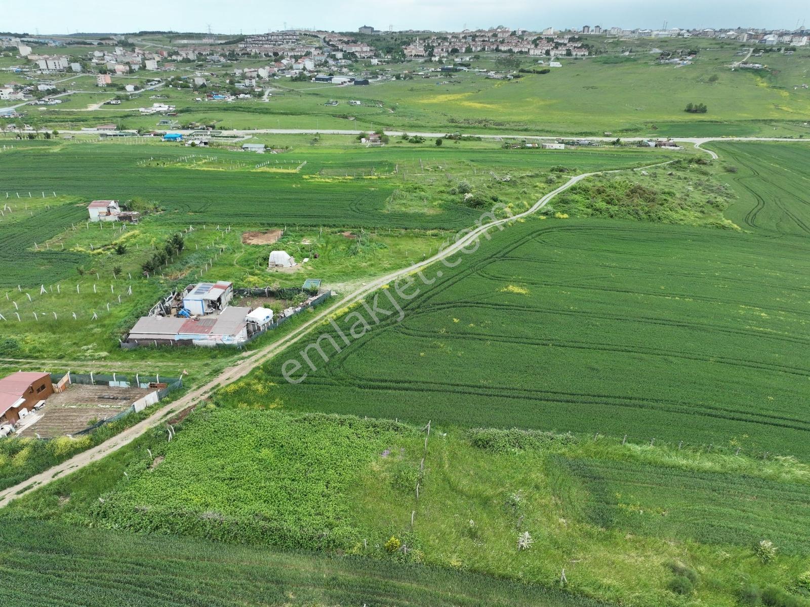 Arnavutköy Haraççı'da Satılık 466 Metre Çaplı Arsa - Görsel 3