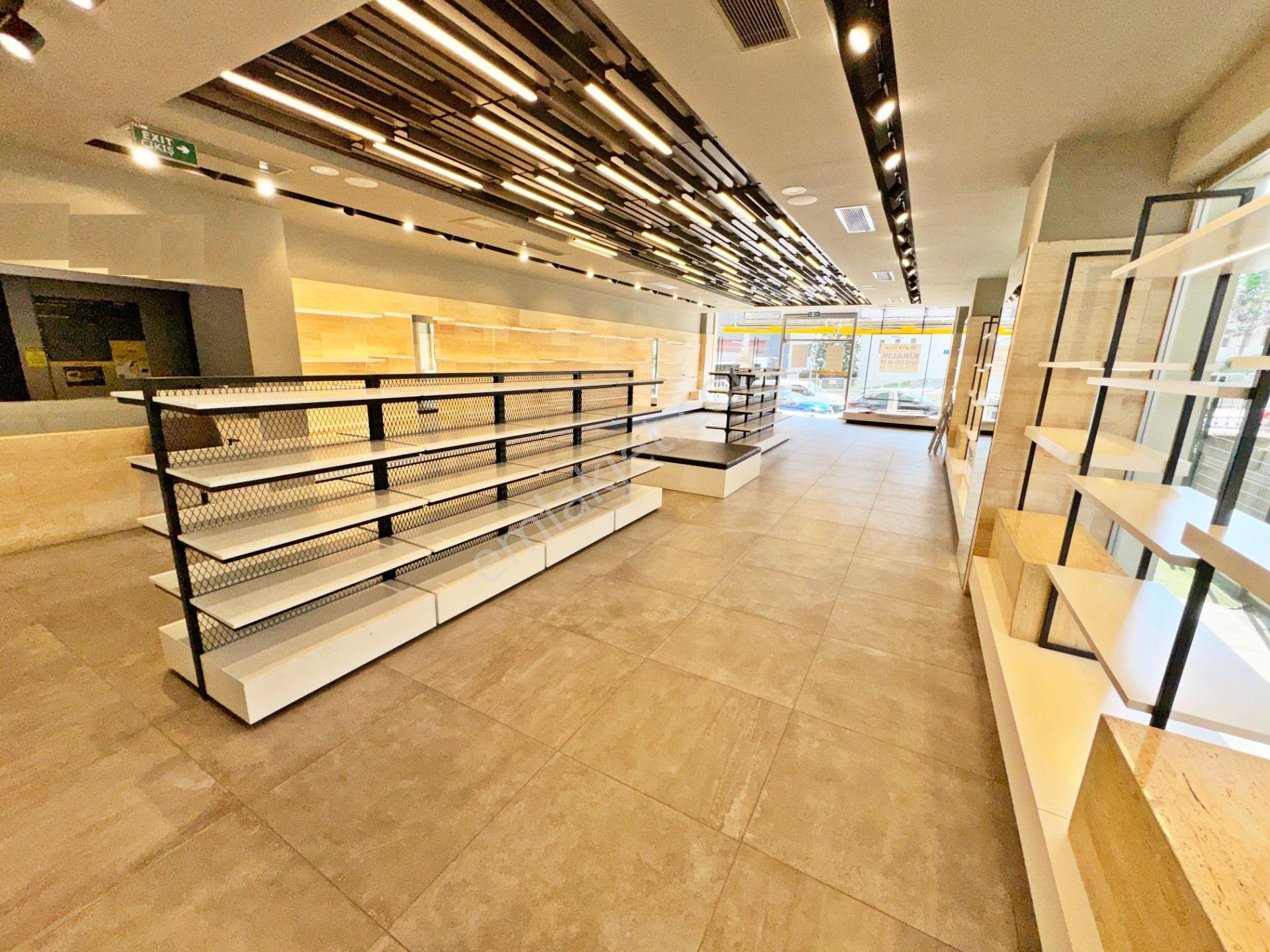 Home Vizyon Küçükçekmece Halkalı Kiralık 1650 M2 Komple Bina. - Görsel 8