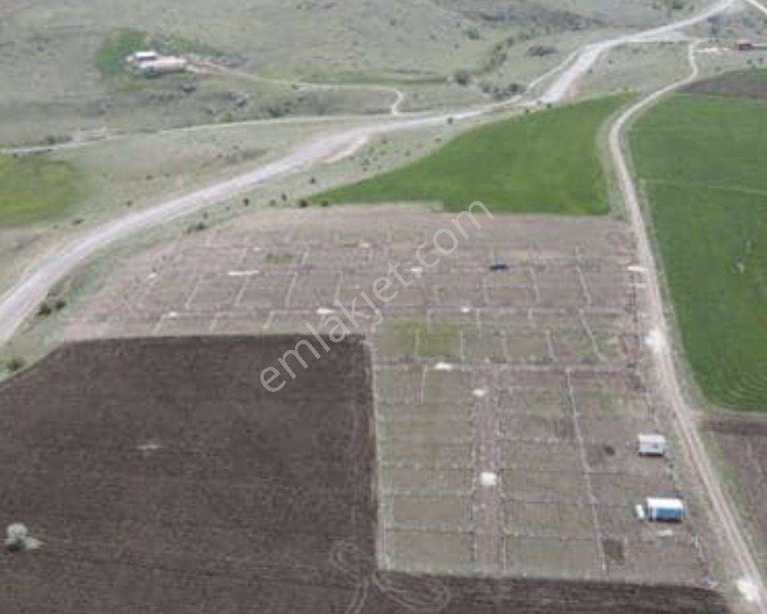 Çubuk Yukarı Çavundur Mah 250 M2 Hobi Bahçesi - Görsel 3