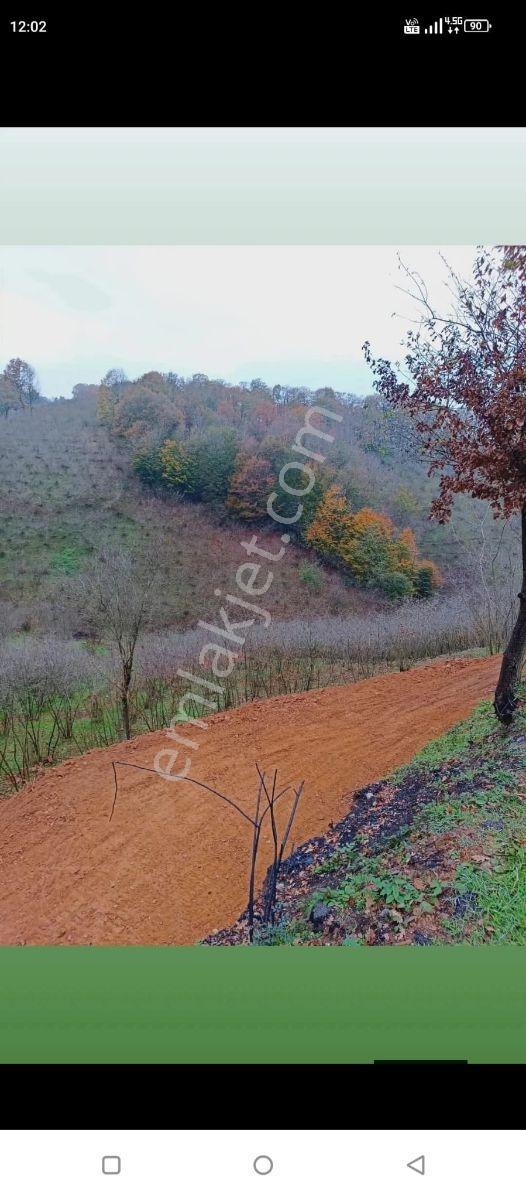 Emlakevim Den Hendek Dereköy Mh Satılık % 40 Konut İmrlı Arsa - Görsel 8