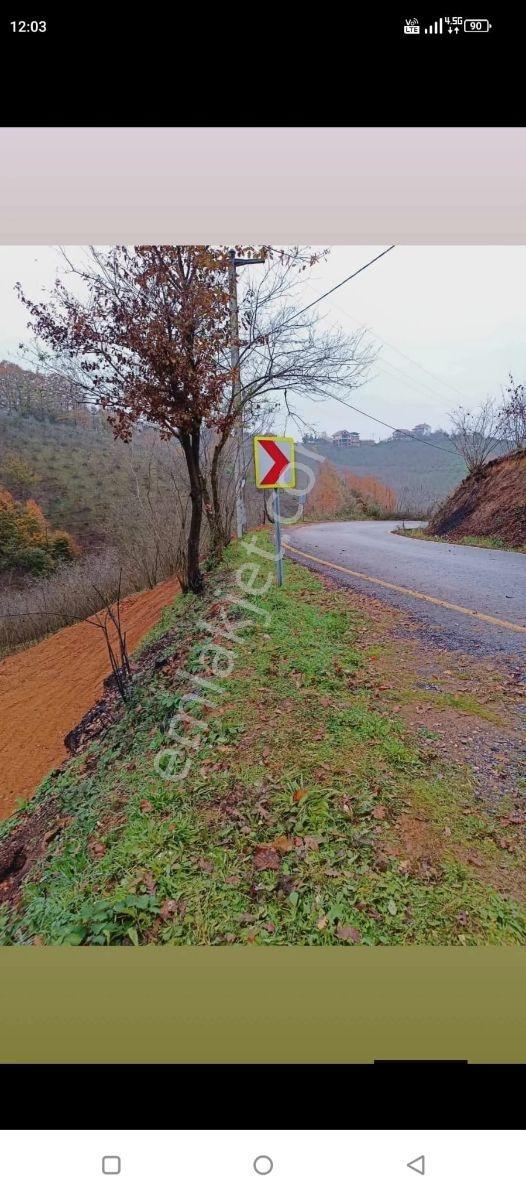 Emlakevim Den Hendek Dereköy Mh Satılık % 40 Konut İmrlı Arsa - Görsel 10