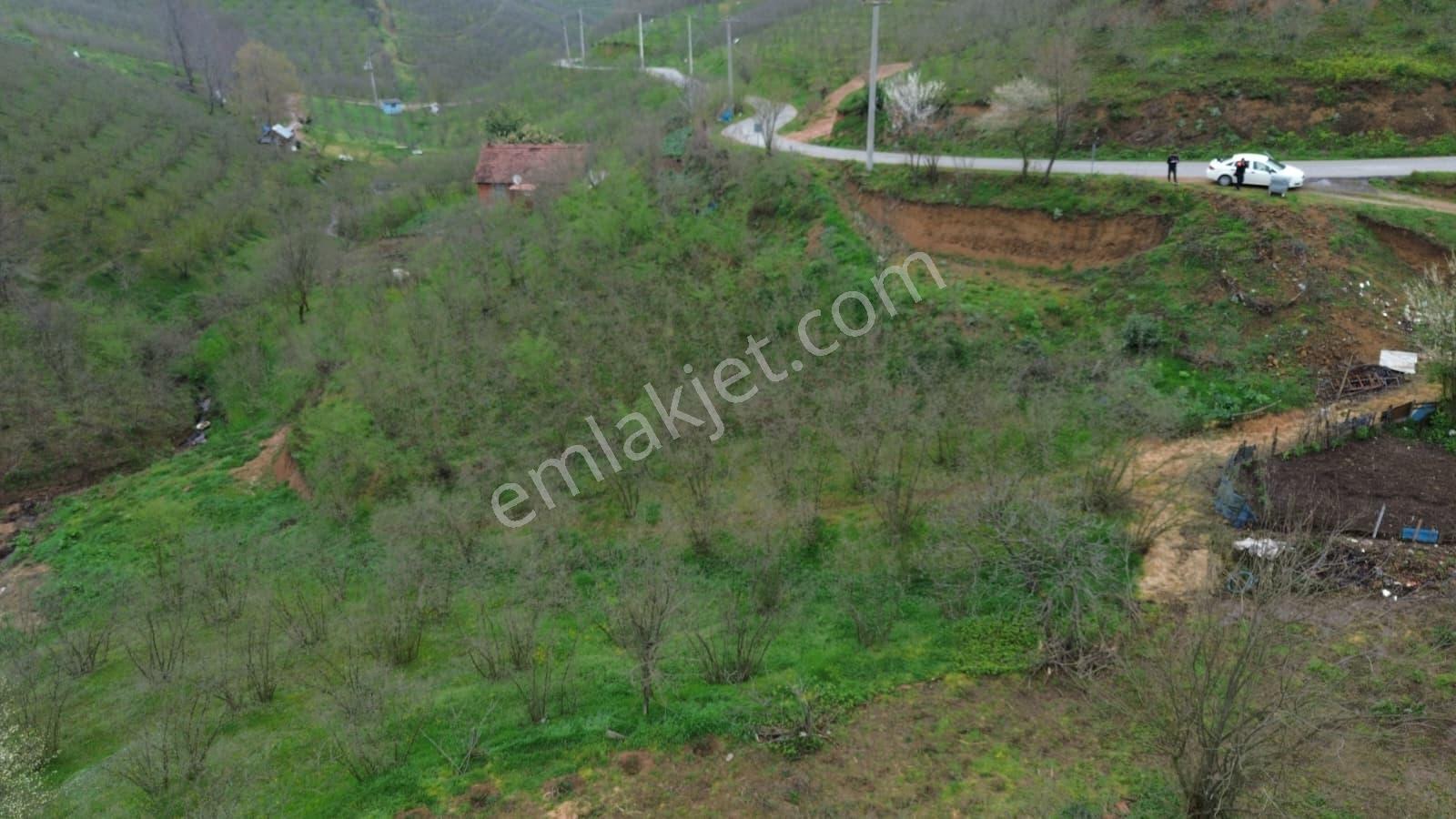 Emlakevim Den Hendek Dereköy Mh Satılık % 40 Konut İmrlı Arsa - Görsel 5