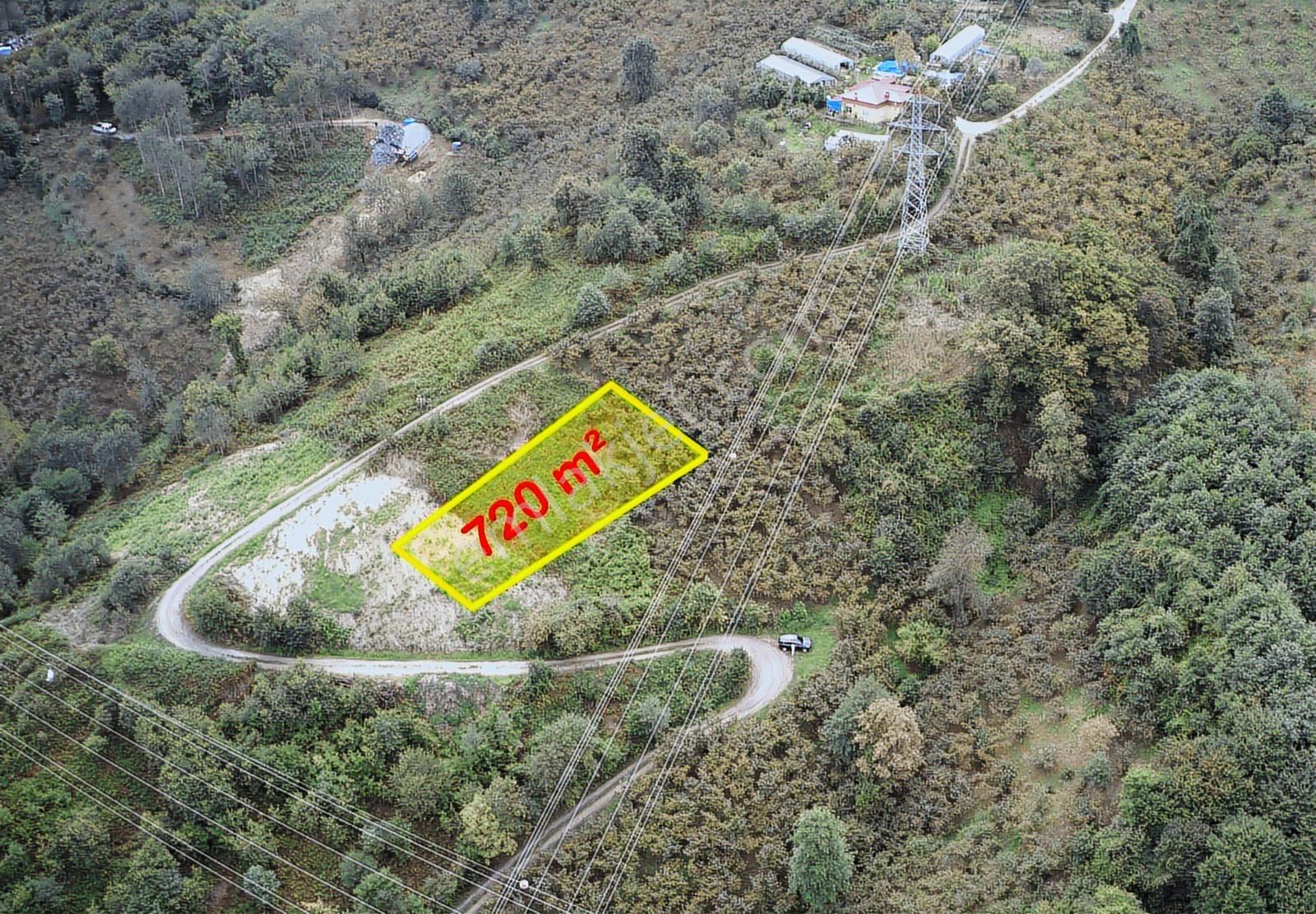Arsinin En Güzel Arsası Trabzon Gayrimenkulden Satılık - Görsel 7