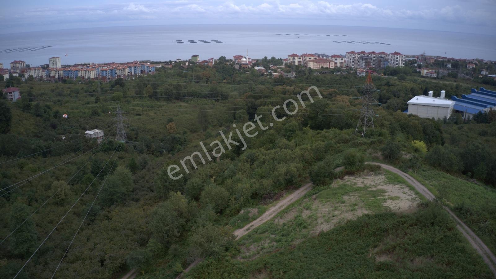 Arsinin En Güzel Arsası Trabzon Gayrimenkulden Satılık - Görsel 12