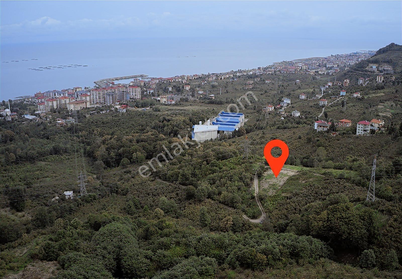 Arsinin En Güzel Arsası Trabzon Gayrimenkulden Satılık - Görsel 10