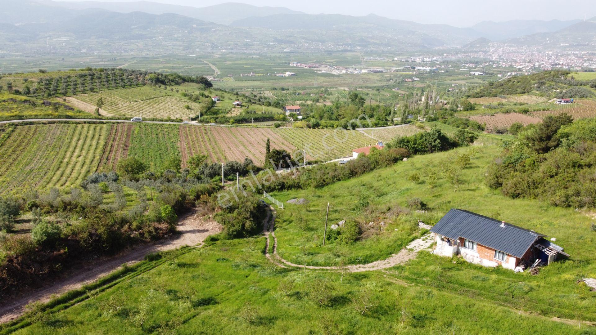 Sakarya Geyve Satılık Tarla Müstakıl Ev Cevizlik - Görsel 4