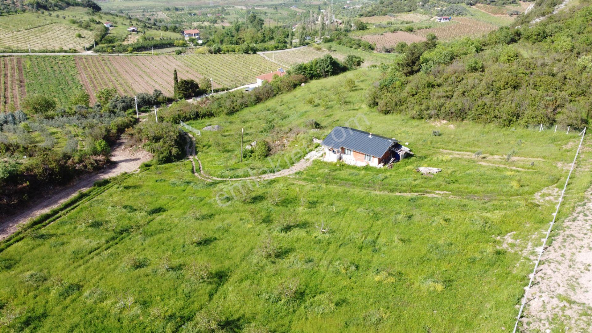 Sakarya Geyve Satılık Tarla Müstakıl Ev Cevizlik - Görsel 7