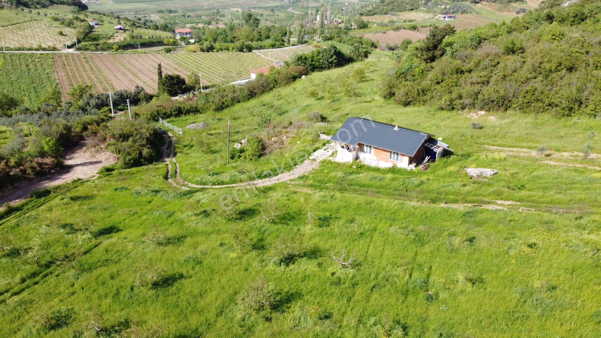 Sakarya Geyve Satılık Tarla Müstakıl Ev Cevizlik - Görsel 6