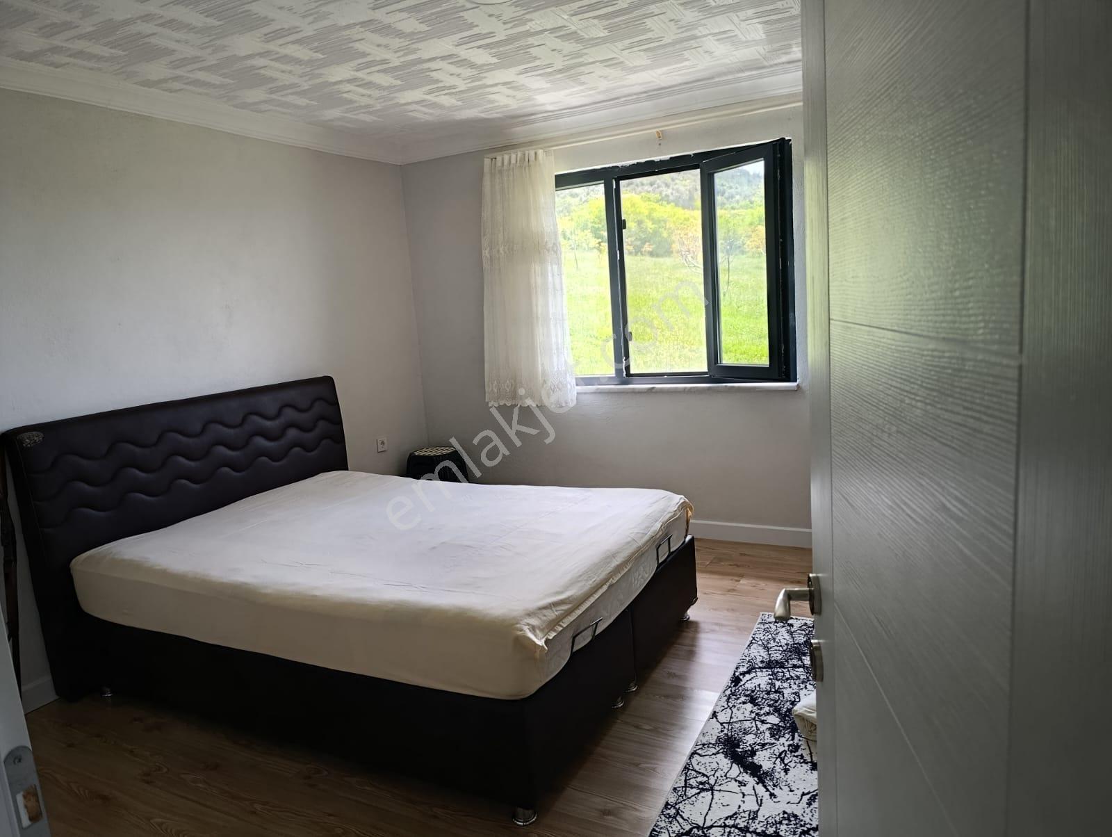 Sakarya Geyve Satılık Tarla Müstakıl Ev Cevizlik - Görsel 19