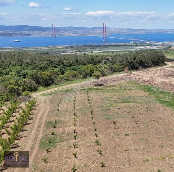 Çanakkale Lapseki Kocaveli Köyünde Satılık Super Konumda Tarla - Görsel 4