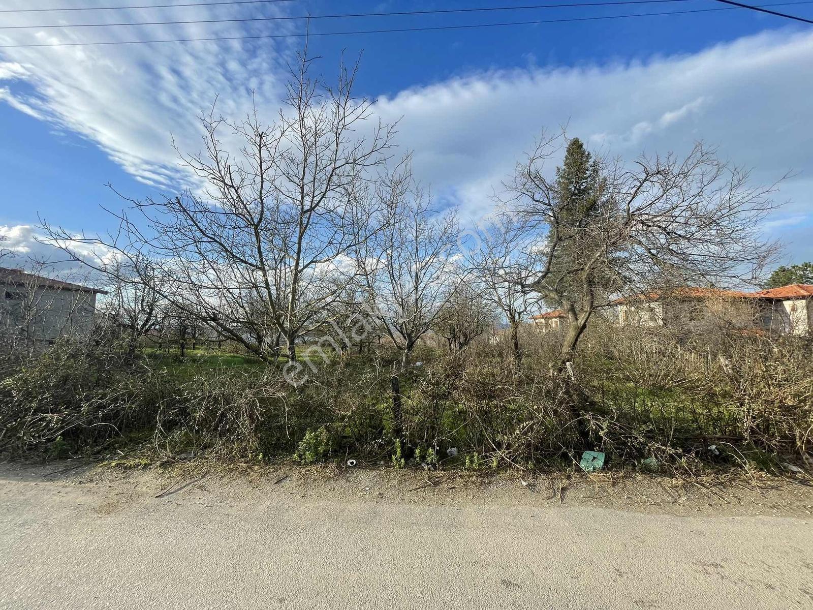 Hacımercanda 1995 M2 Bungolov Ve Villa Yapmaya Müsait Arsa - Görsel 10