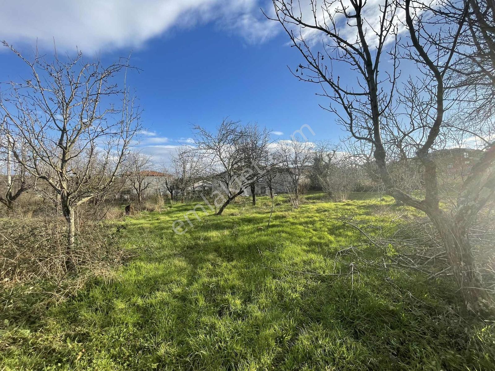 Hacımercanda 1995 M2 Bungolov Ve Villa Yapmaya Müsait Arsa - Görsel 3