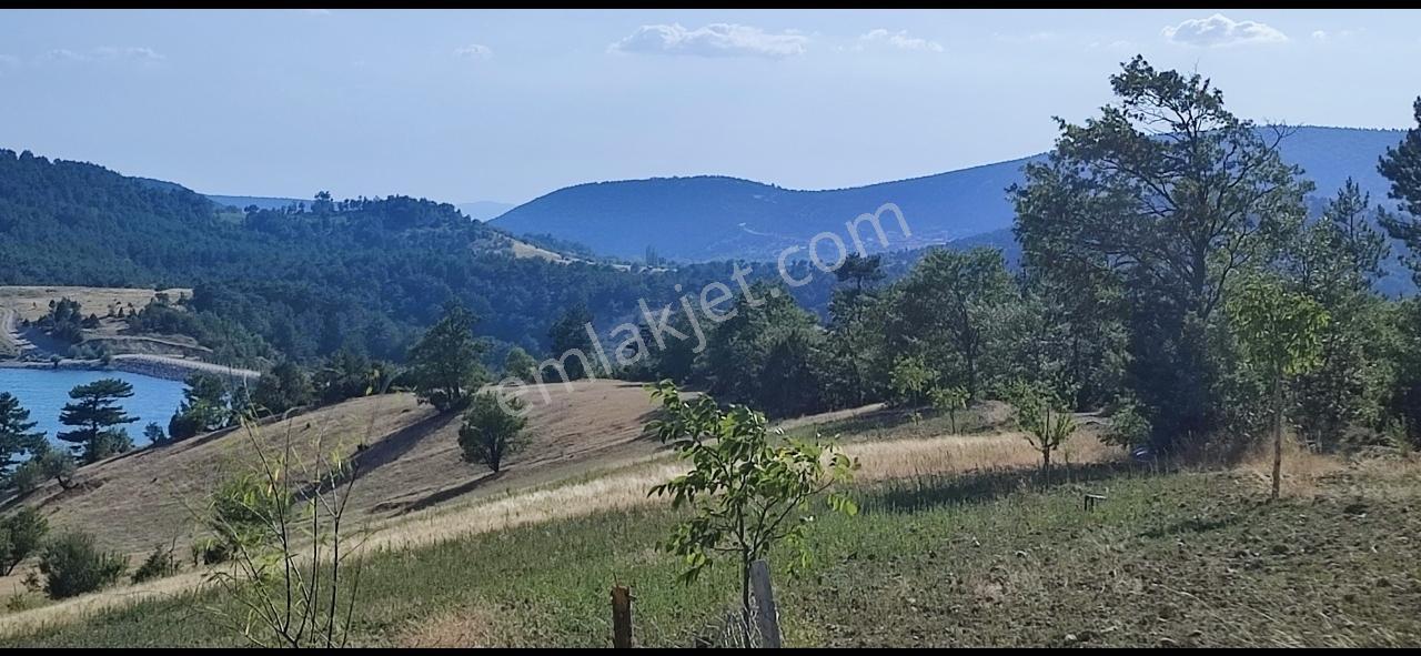 Şehrin Gürültüsünü Unutun! Sorgun'da Huzurun Yeni Adresi - Görsel 13