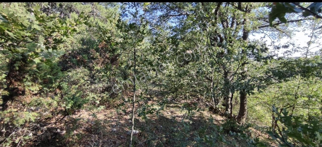 Şehrin Gürültüsünü Unutun! Sorgun'da Huzurun Yeni Adresi - Görsel 2