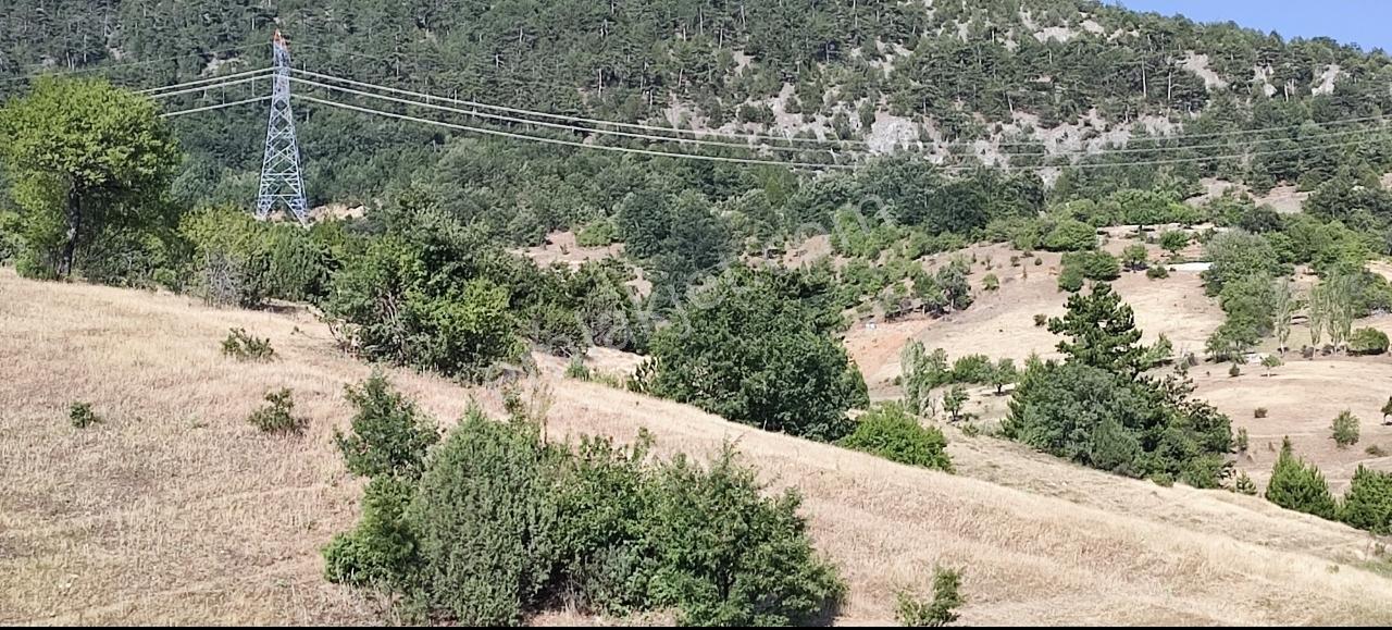 Şehrin Gürültüsünü Unutun! Sorgun'da Huzurun Yeni Adresi - Görsel 14