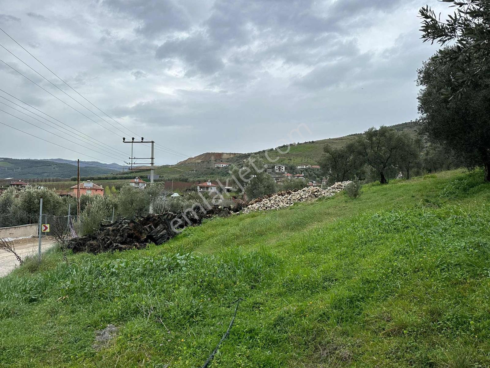Ömerli Mahallesinde Panoramik Göl Manzaralı İmarlı Arsa - Görsel 3