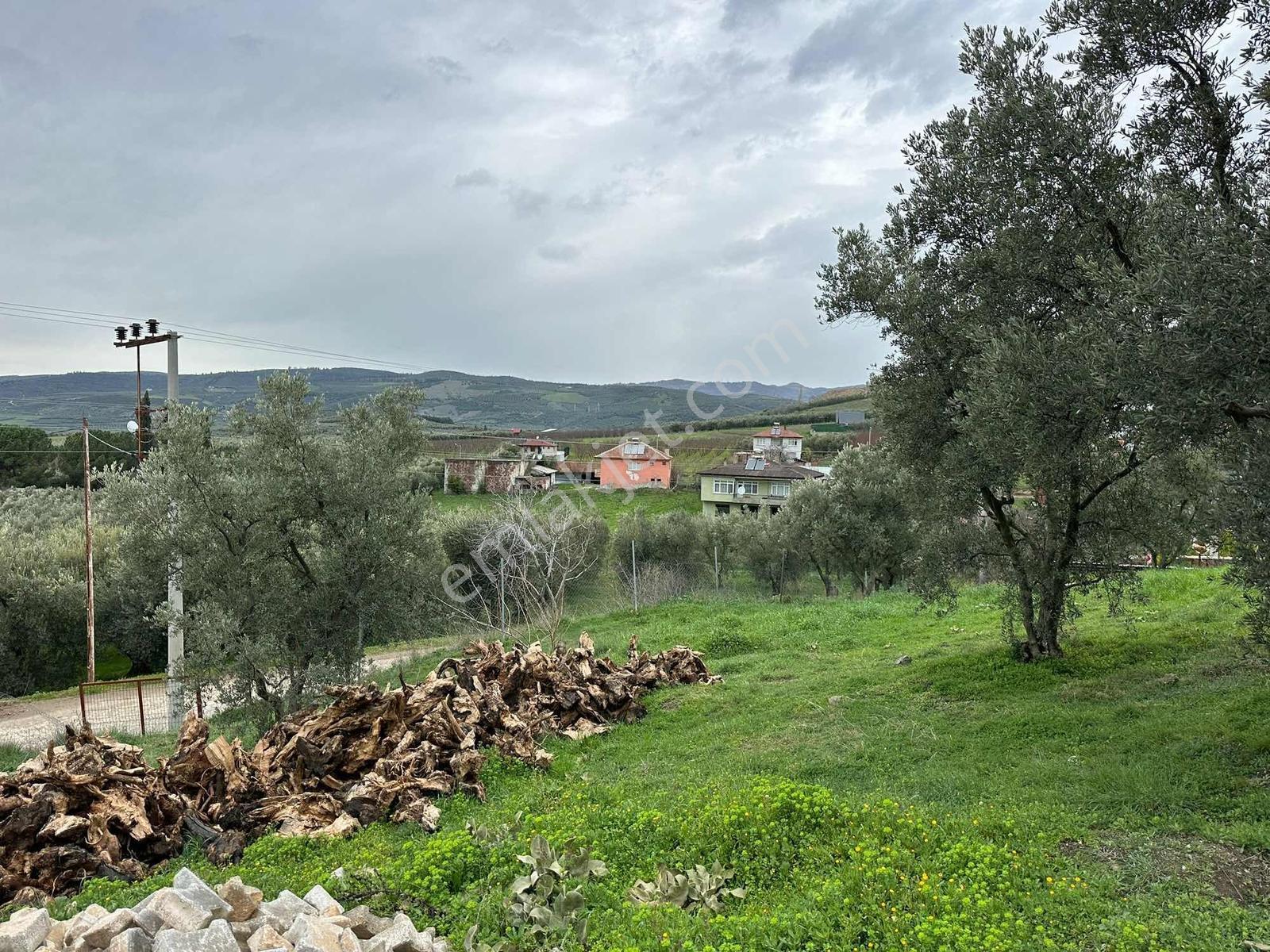 Ömerli Mahallesinde Panoramik Göl Manzaralı İmarlı Arsa - Görsel 5