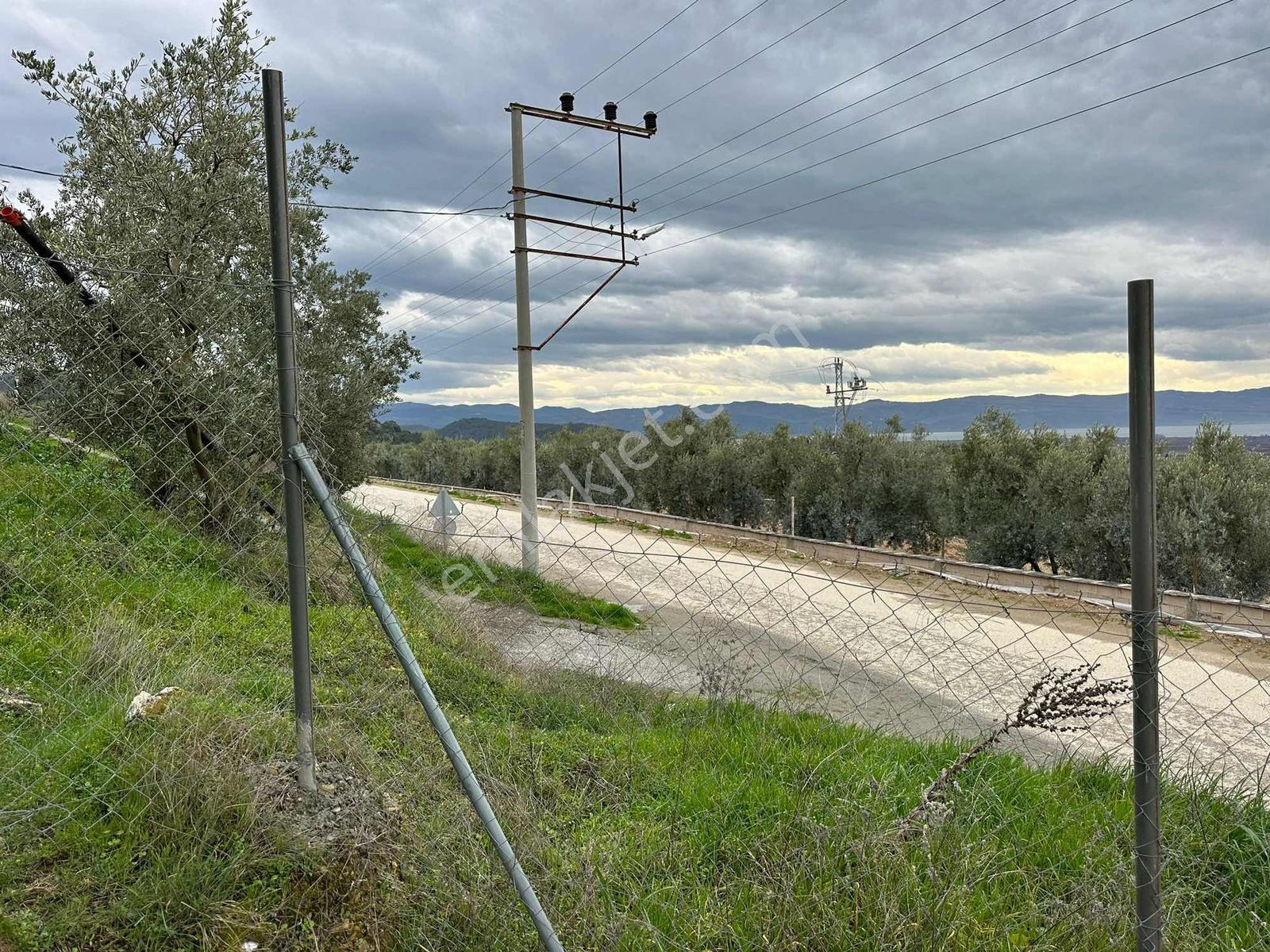 Ömerli Mahallesinde Panoramik Göl Manzaralı İmarlı Arsa - Görsel 2