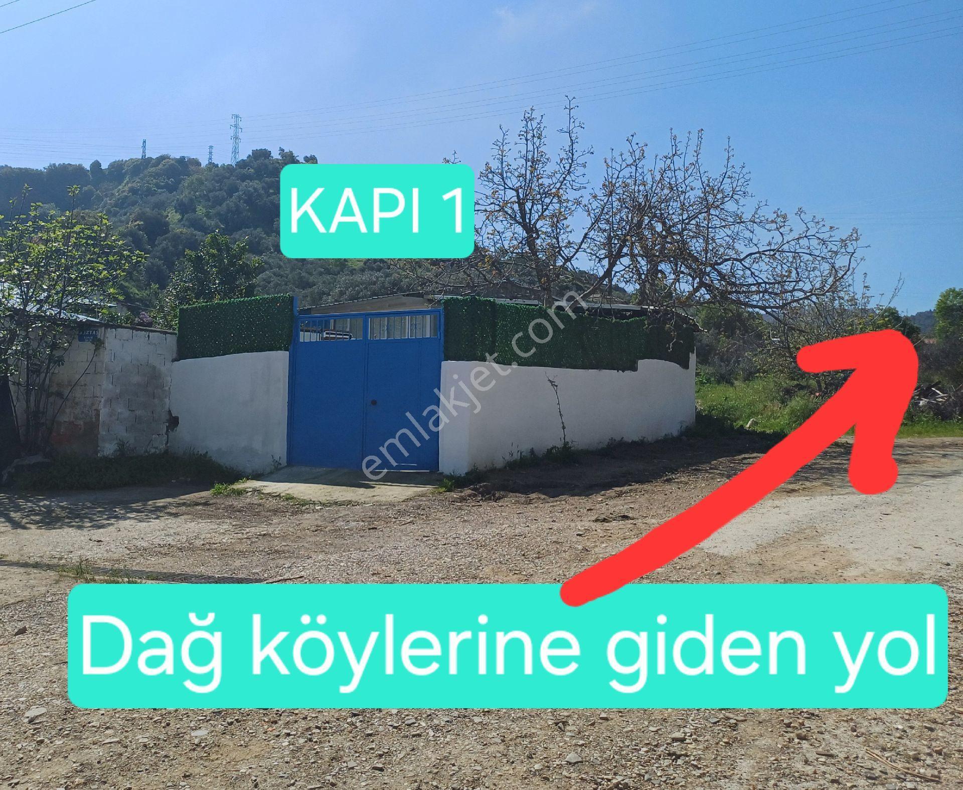 Göğe Bakma Duragı - Görsel 21
