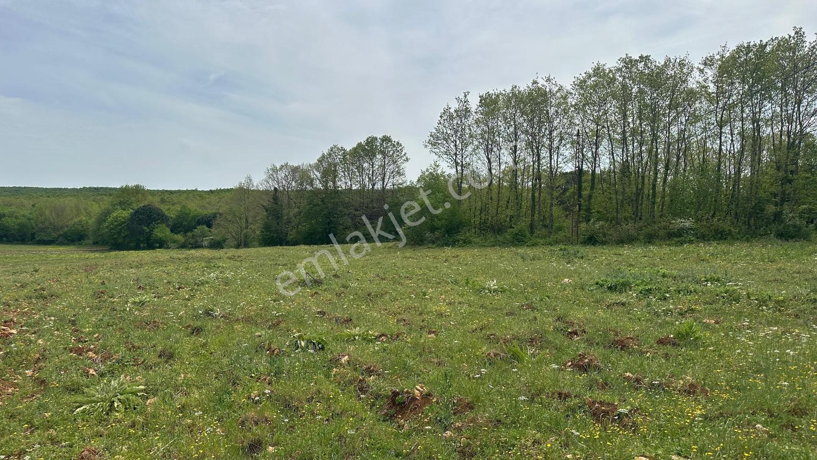 Çatalca Gümüşpınar Muvafakatnameli Satılık Hisseli Tarla 3000m²