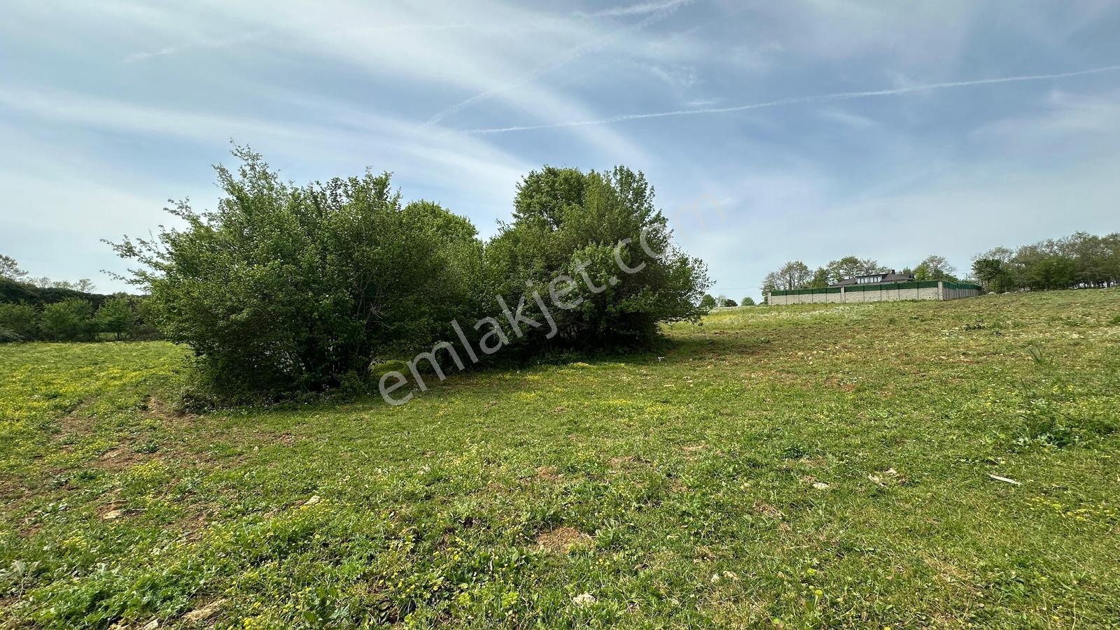 Çatalca Gümüşpınar Muvafakatnameli Satılık Hisseli Tarla 3000m² - Görsel 11