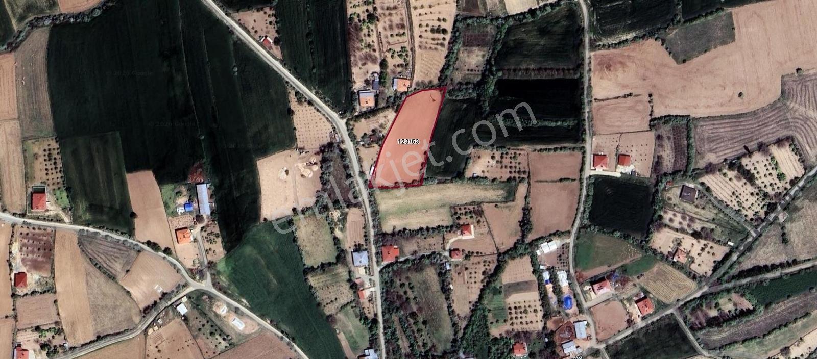 Pelte Köyü 4.425m² | Yol+su+elektrik | 200m² Ev Ruhsatlı - Görsel 4
