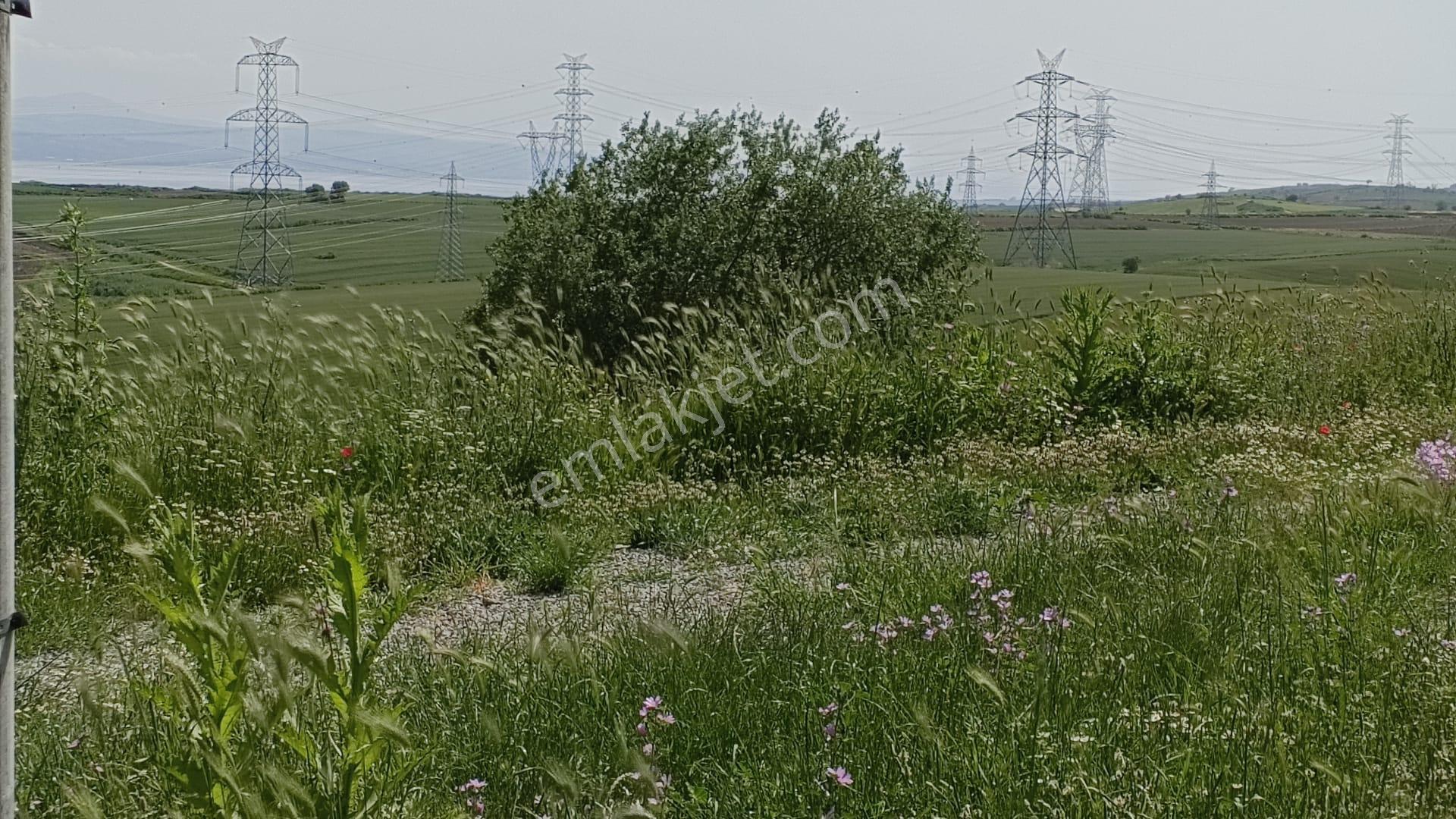 Çanakkale Gelibolu Bolayırda Satılık Villa İmarlı Arsa - Görsel 15