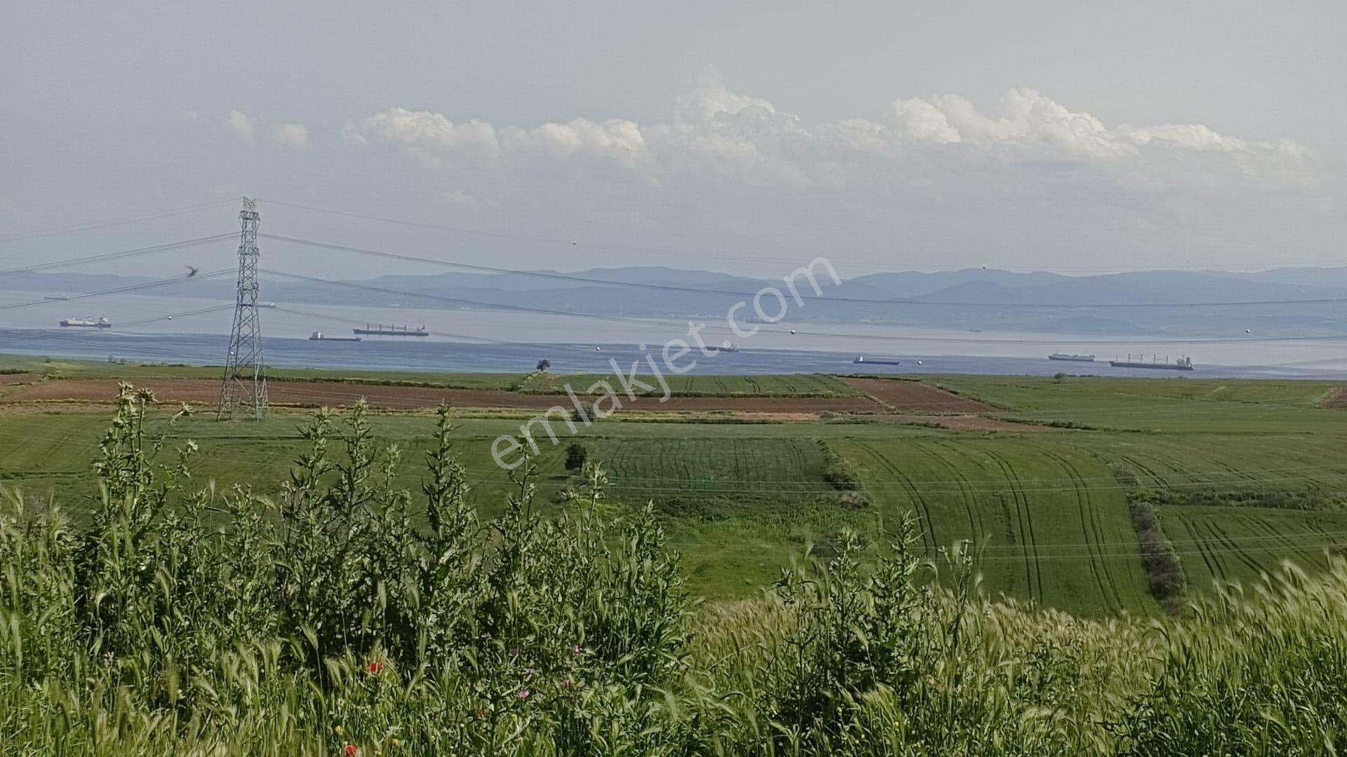 Çanakkale Gelibolu Bolayırda Satılık Villa İmarlı Arsa - Görsel 11