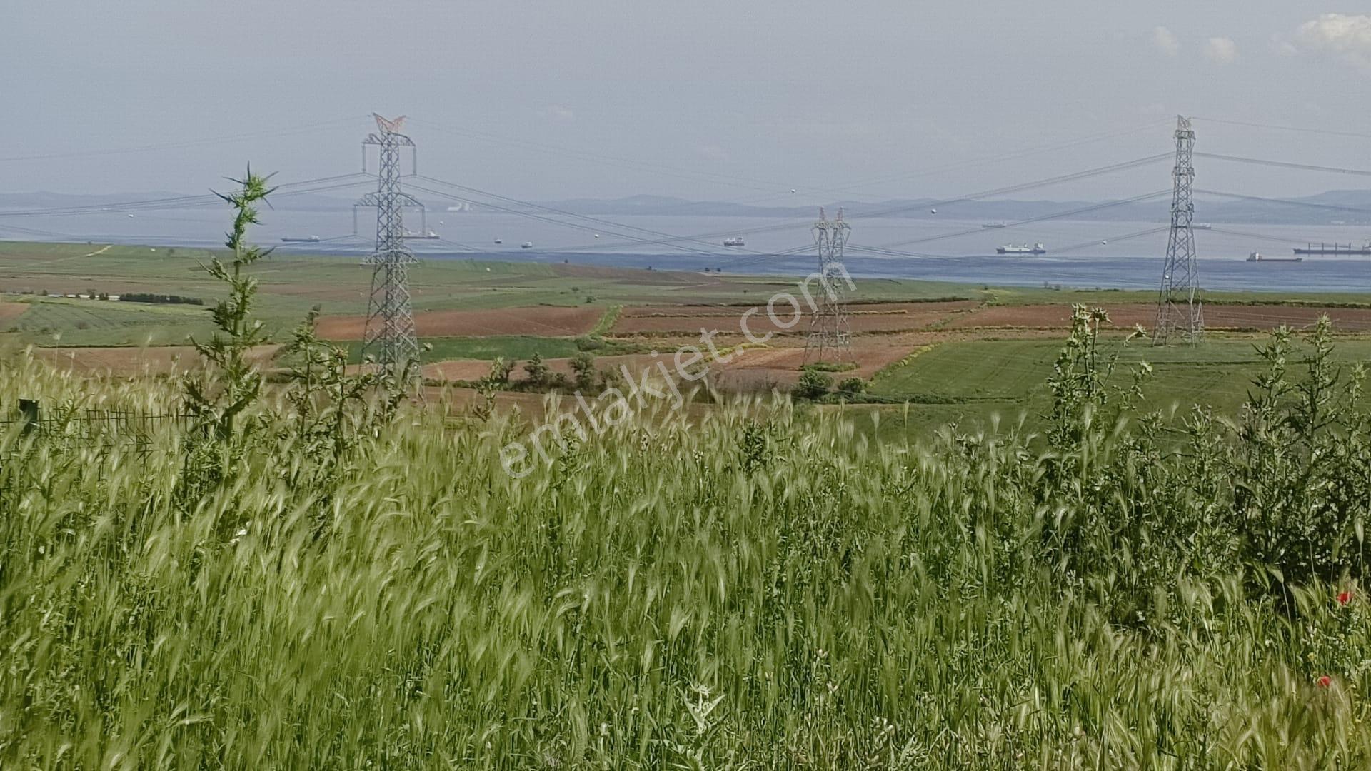 Çanakkale Gelibolu Bolayırda Satılık Villa İmarlı Arsa - Görsel 24