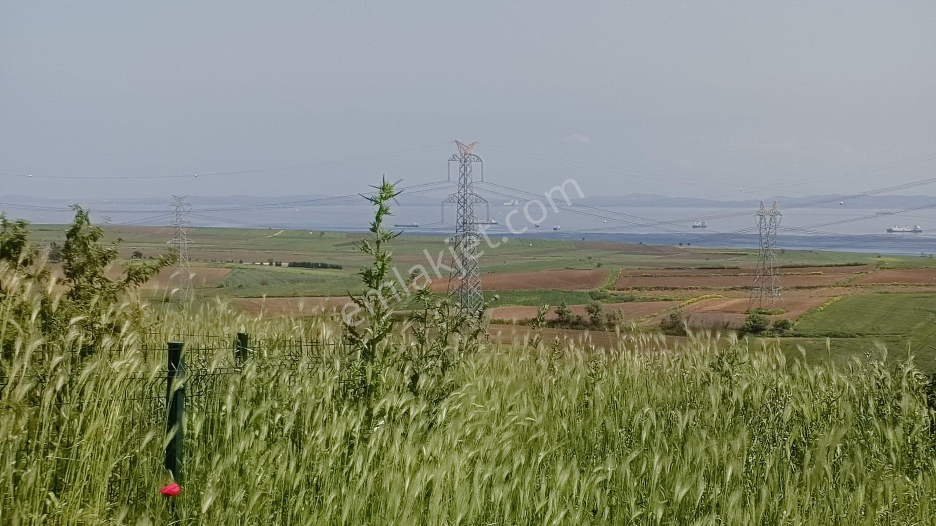 Çanakkale Gelibolu Bolayırda Denize Yakın Villa İmarlı Arsa - Görsel 5