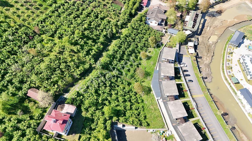 Akçaabat Sera Gölü Vadisinde Satılık Turizm İmarlı Arsa - Görsel 6