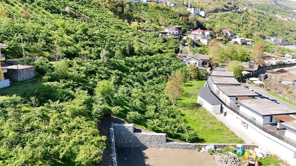 Akçaabat Sera Gölü Vadisinde Satılık Turizm İmarlı Arsa - Görsel 8