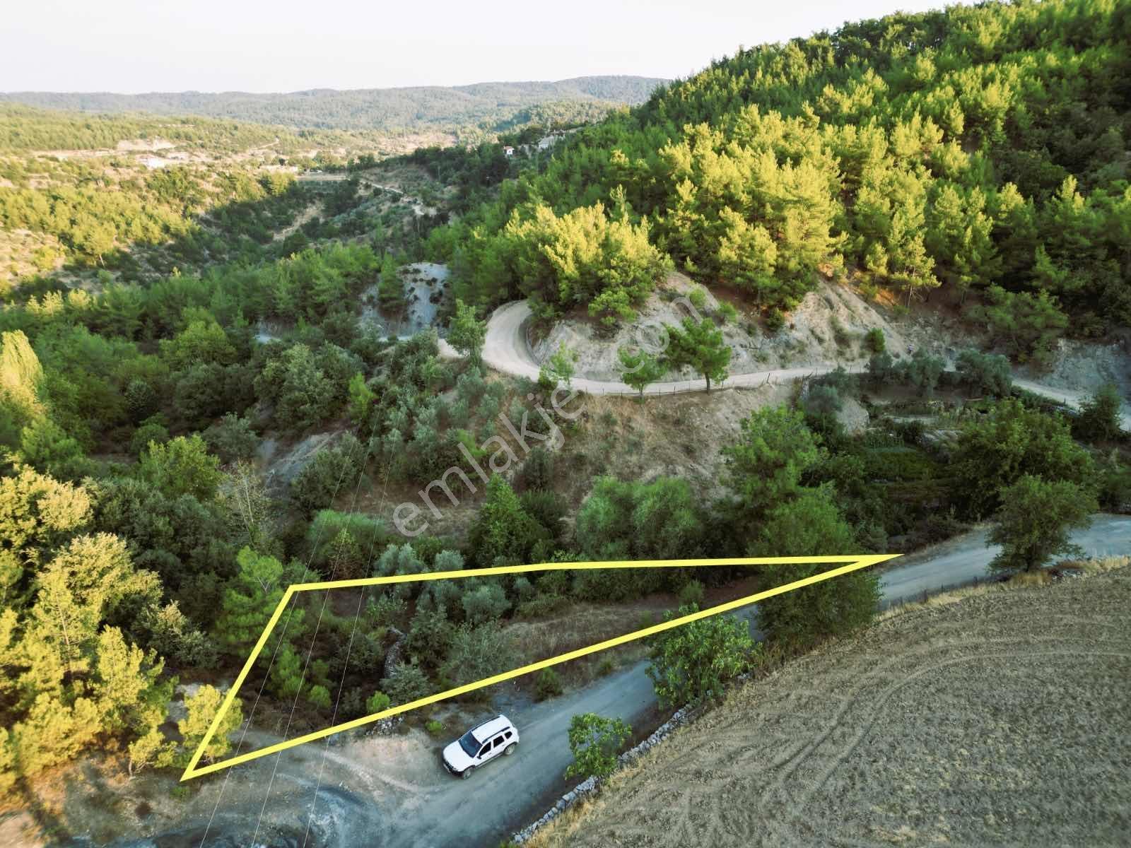 Muğla Menteşe Denizova Mah. Satılık Fırsat Tarla - Görsel 6