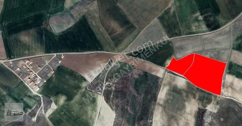 Çorum Osb Yakını 26 Dönüm Yatırımlık Tarla - Görsel 2