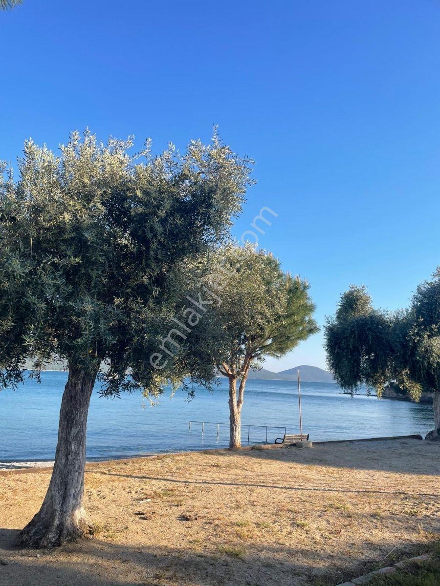 Muğla Milas Kazıklı Koyunda Kiralık 1+1 Daire - Görsel 14