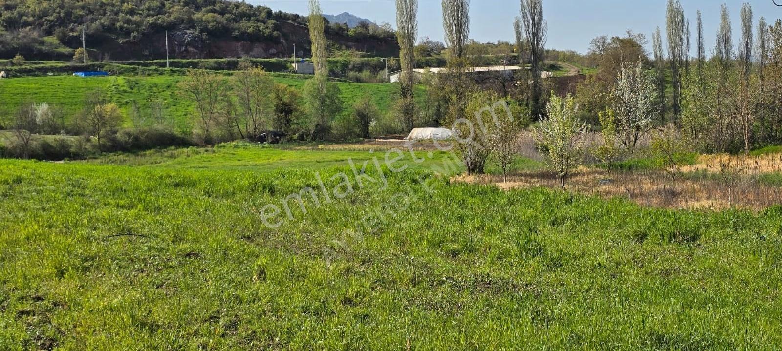 Balıkesir Sındırgı Işıklar'da 9032m² Yatırımlık Tarla - Görsel 7